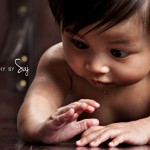 _MG_3960 _MG_3960